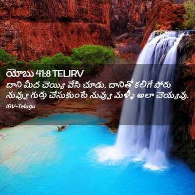 Picture 02 - యోబు 41:8 TELIRV - దాని మీద చెయ్యి - Bible Verse Picture