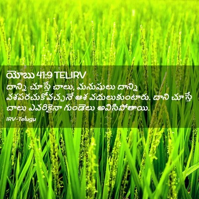 Picture 02 - యోబు 41:9 TELIRV - దాన్ని చూస్తే - Bible Verse Picture