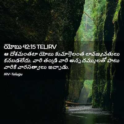 Picture 02 - యోబు 42:15 TELIRV - ఆ దేశమంతటా యోబు - Bible Verse Picture