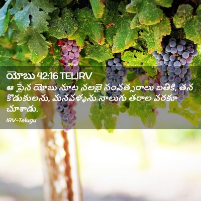Picture 02 - యోబు 42:16 TELIRV - ఆ పైన యోబు నూట నలభై - Bible Verse Picture