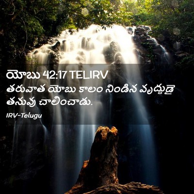 Picture 02 - యోబు 42:17 TELIRV - తరువాత యోబు కాలం - Bible Verse Picture