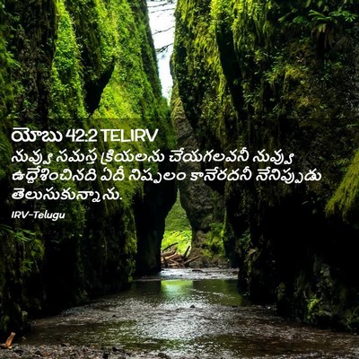 Picture 02 - యోబు 42:2 TELIRV - నువ్వు సమస్త - Bible Verse Picture