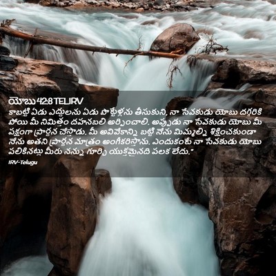 Picture 02 - యోబు 42:8 TELIRV - కాబట్టి ఏడు - Bible Verse Picture
