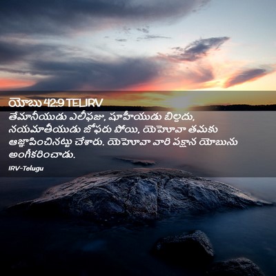 Picture 02 - యోబు 42:9 TELIRV - తేమానీయుడు - Bible Verse Picture