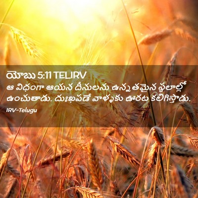 Picture 02 - యోబు 5:11 TELIRV - ఆ విధంగా ఆయన - Bible Verse Picture