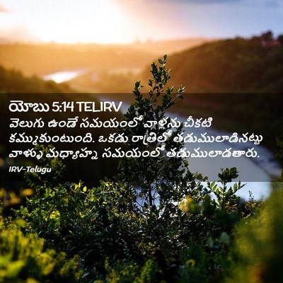 Picture 02 - యోబు 5:14 TELIRV - వెలుగు ఉండే - Bible Verse Picture