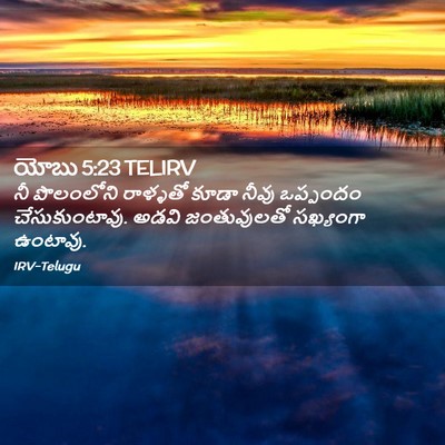 Picture 02 - యోబు 5:23 TELIRV - నీ పొలంలోని - Bible Verse Picture