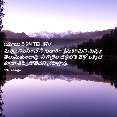 Picture 02 - యోబు 5:24 TELIRV - నువ్వు నివసించే - Bible Verse Picture