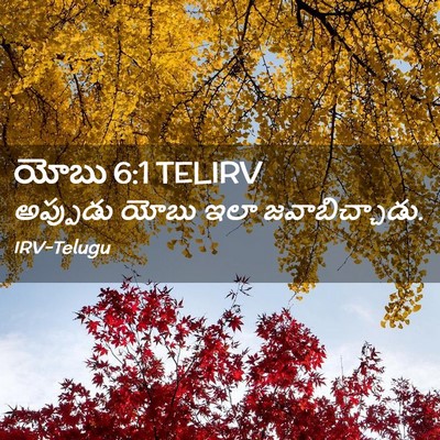 Picture 02 - యోబు 6:1 TELIRV - అప్పుడు యోబు ఇలా - Bible Verse Picture