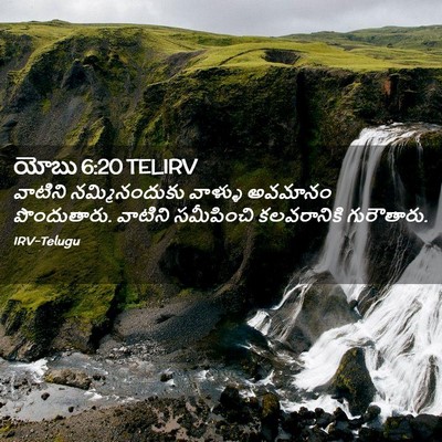 Picture 02 - యోబు 6:20 TELIRV - వాటిని - Bible Verse Picture