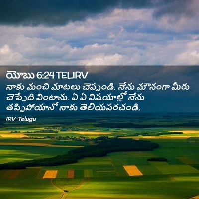 Picture 02 - యోబు 6:24 TELIRV - నాకు మంచి మాటలు - Bible Verse Picture