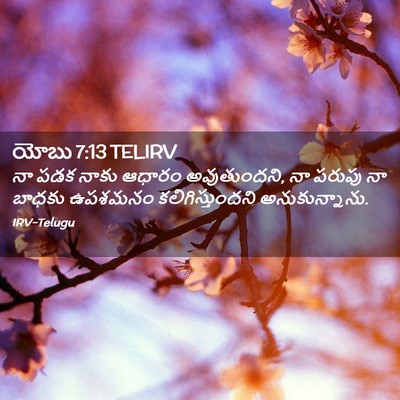 Picture 02 - యోబు 7:13 TELIRV - నా పడక నాకు ఆధారం - Bible Verse Picture