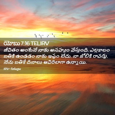 Picture 02 - యోబు 7:16 TELIRV - జీవితం అంటేనే - Bible Verse Picture