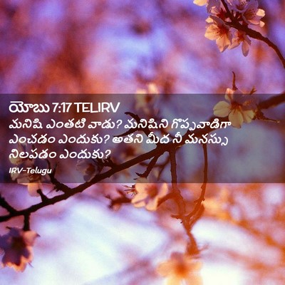 Picture 02 - యోబు 7:17 TELIRV - మనిషి ఎంతటి వాడు? - Bible Verse Picture