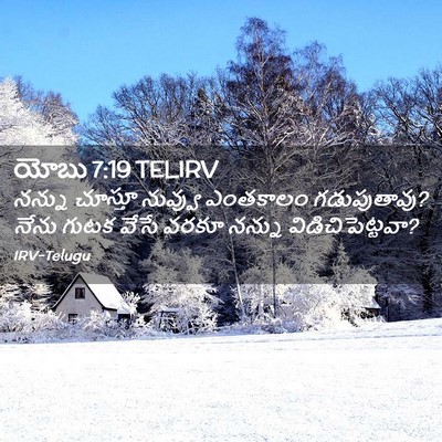 Picture 02 - యోబు 7:19 TELIRV - నన్ను చూస్తూ - Bible Verse Picture