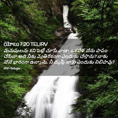 Picture 02 - యోబు 7:20 TELIRV - మనుషులను - Bible Verse Picture