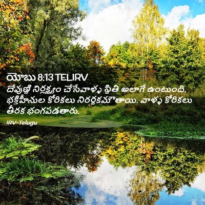 Picture 02 - యోబు 8:13 TELIRV - దేవుణ్ణి - Bible Verse Picture