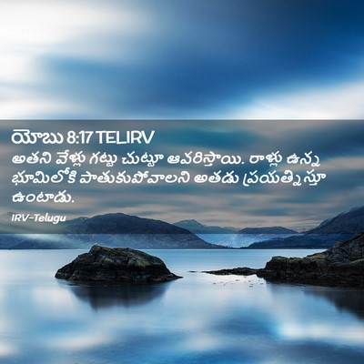 Picture 02 - యోబు 8:17 TELIRV - అతని వేళ్లు గట్టు - Bible Verse Picture