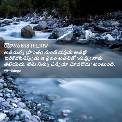 Picture 02 - యోబు 8:18 TELIRV - అతడున్న ప్రాంతం - Bible Verse Picture
