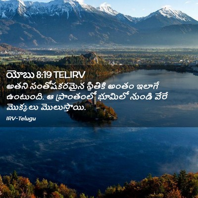 Picture 02 - యోబు 8:19 TELIRV - అతని సంతోషకరమైన - Bible Verse Picture