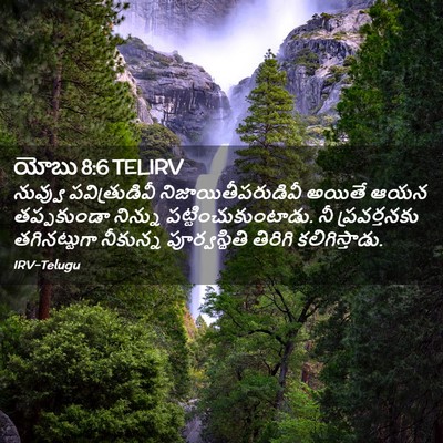 Picture 02 - యోబు 8:6 TELIRV - నువ్వు - Bible Verse Picture