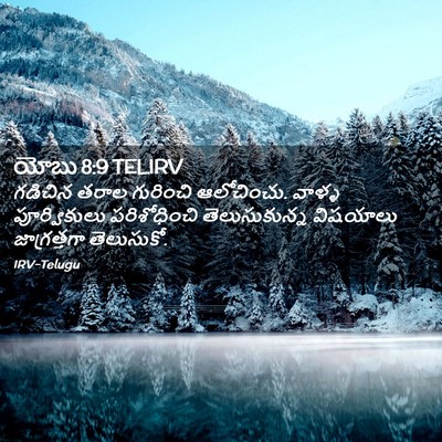 Picture 02 - యోబు 8:9 TELIRV - గడిచిన తరాల - Bible Verse Picture