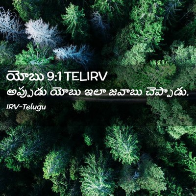 Picture 02 - యోబు 9:1 TELIRV - అప్పుడు యోబు ఇలా - Bible Verse Picture