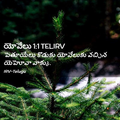 Picture 02 - యోవేలు 1:1 TELIRV - పెతూయేలు కొడుకు - Bible Verse Picture