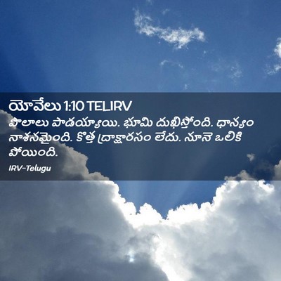 Picture 02 - యోవేలు 1:10 TELIRV - పొలాలు పాడయ్యాయి. - Bible Verse Picture