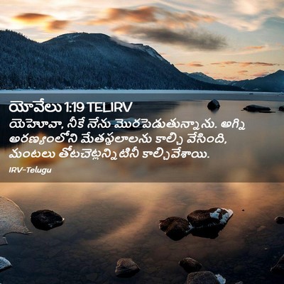 Picture 02 - యోవేలు 1:19 TELIRV - యెహోవా, నీకే నేను - Bible Verse Picture