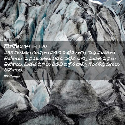 Picture 02 - యోవేలు 1:4 TELIRV - ఎగిరే మిడతల - Bible Verse Picture