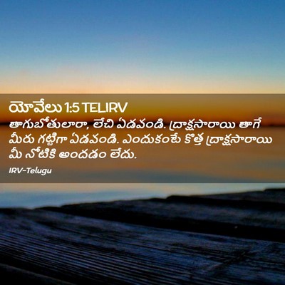 Picture 02 - యోవేలు 1:5 TELIRV - తాగుబోతులారా, - Bible Verse Picture