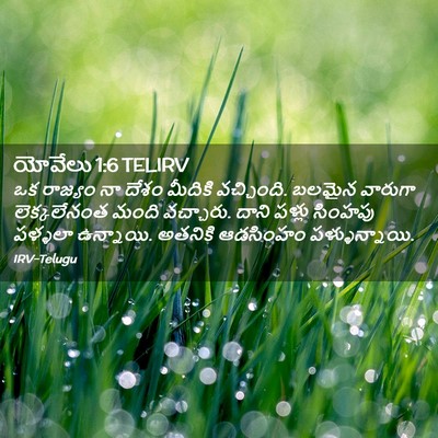 Picture 02 - యోవేలు 1:6 TELIRV - ఒక రాజ్యం నా దేశం - Bible Verse Picture