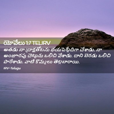Picture 02 - యోవేలు 1:7 TELIRV - అతడు నా - Bible Verse Picture