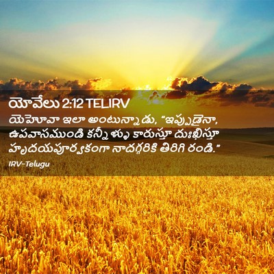 Picture 02 - యోవేలు 2:12 TELIRV - యెహోవా ఇలా - Bible Verse Picture