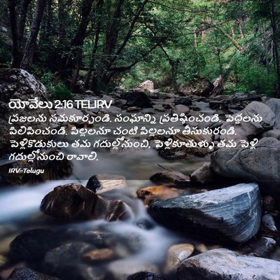 Picture 02 - యోవేలు 2:16 TELIRV - ప్రజలను - Bible Verse Picture