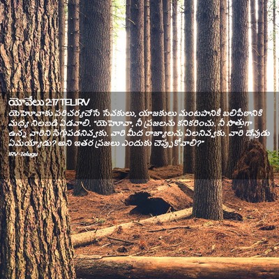 Picture 02 - యోవేలు 2:17 TELIRV - యెహోవాకు - Bible Verse Picture