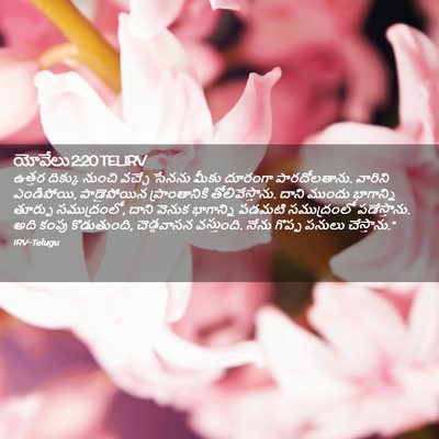 Picture 02 - యోవేలు 2:20 TELIRV - ఉత్తర దిక్కు - Bible Verse Picture