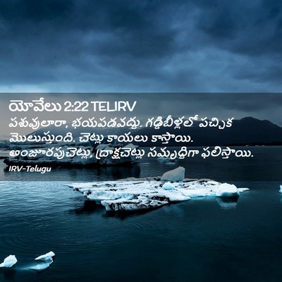 Picture 02 - యోవేలు 2:22 TELIRV - పశువులారా, - Bible Verse Picture