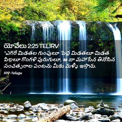 Picture 02 - యోవేలు 2:25 TELIRV - “ఎగిరే మిడతల - Bible Verse Picture