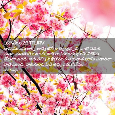 Picture 02 - యోవేలు 2:3 TELIRV - దాని ముందు అగ్ని - Bible Verse Picture