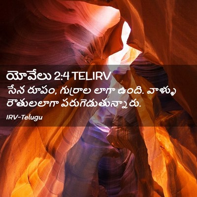Picture 02 - యోవేలు 2:4 TELIRV - సేన రూపం, గుర్రాల - Bible Verse Picture
