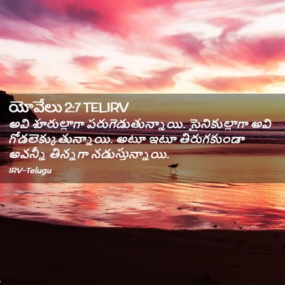 Picture 02 - యోవేలు 2:7 TELIRV - అవి శూరుల్లాగా - Bible Verse Picture