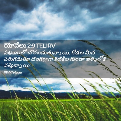 Picture 02 - యోవేలు 2:9 TELIRV - పట్టణంలో - Bible Verse Picture