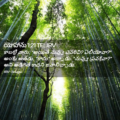Picture 02 - యోహాను 1:21 TELIRV - కాబట్టి వారు, - Bible Verse Picture