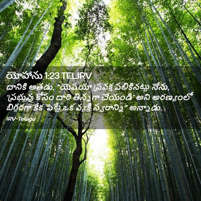 Picture 02 - యోహాను 1:23 TELIRV - దానికి అతడు, - Bible Verse Picture