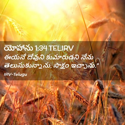 Picture 02 - యోహాను 1:34 TELIRV - ఈయనే దేవుని - Bible Verse Picture