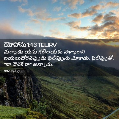 Picture 02 - యోహాను 1:43 TELIRV - మర్నాడు యేసు - Bible Verse Picture