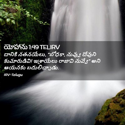Picture 02 - యోహాను 1:49 TELIRV - దానికి నతనయేలు, - Bible Verse Picture