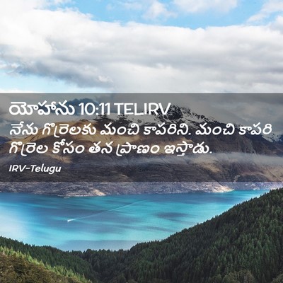 Picture 02 - యోహాను 10:11 TELIRV - నేను గొర్రెలకు - Bible Verse Picture